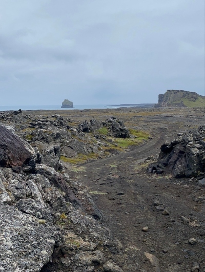 A hiking trail through a lava field with the ocean in the background