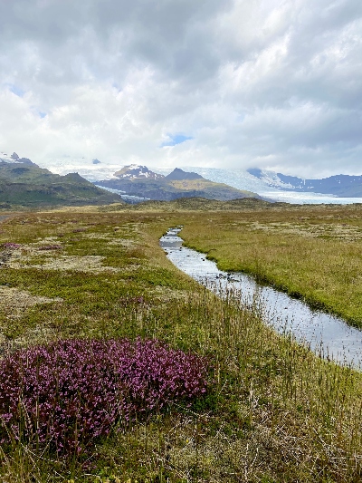 A small creek running through grass and moss with Falljökull Glacier in the background