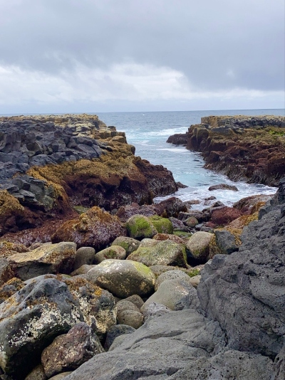 Colourful lava cliffs by the sea on Reykjanes Peninsula