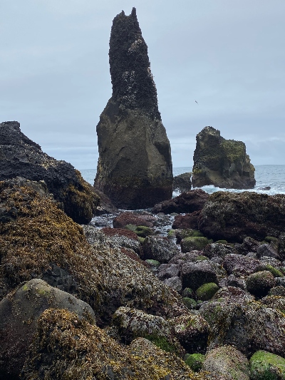 Sea stack by Reykjanes Lighthouse seen up close