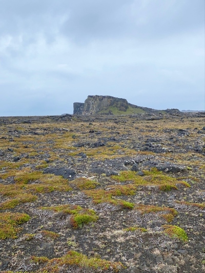 A cliff seen from afar with some lava and yellow greens in the foreground