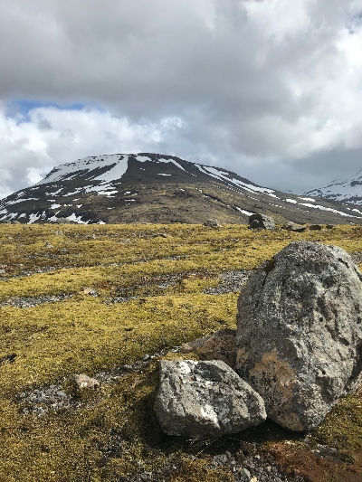 A mountain with a little snow and yellow moss and grass in the foreground