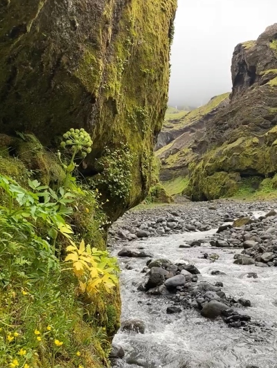 Moss covered cliffs in a narrow canyon and a river running along them