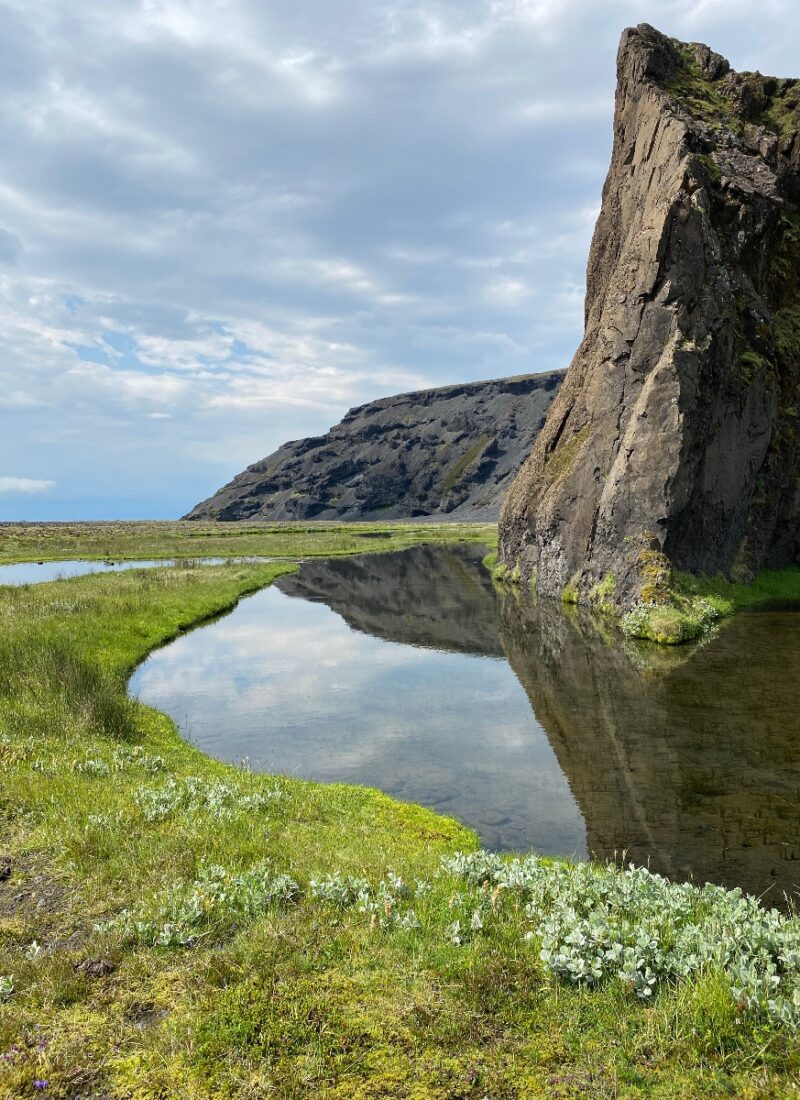 A small pond mirroring a cliff on a beautiful summer day in Iceland