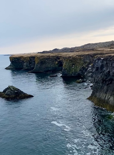 The cliffed shore line at Arnarstapi Iceland