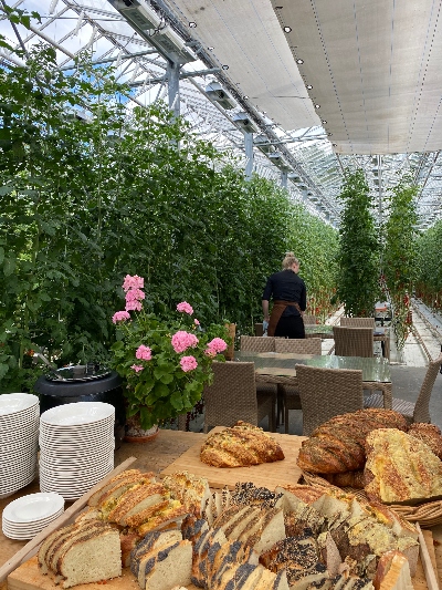 A big pile of delicious bread on a table in the middle of a greenhouse at Friðheimar Tomato Farm
