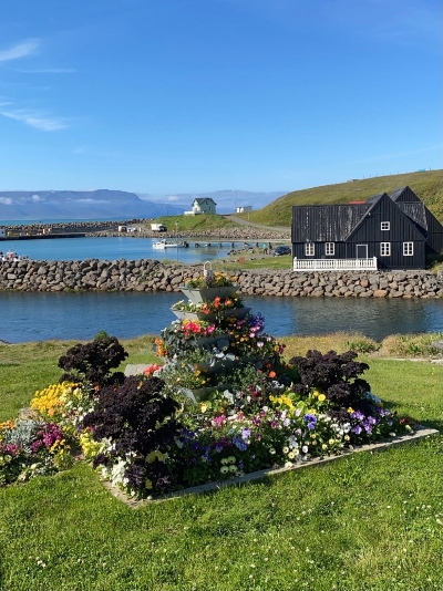 A lot of summer flowers in the foreground and an old black house by the sea in the background