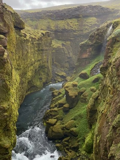 Gorgeous moss covered cliff walls in narrow gorge in Iceland