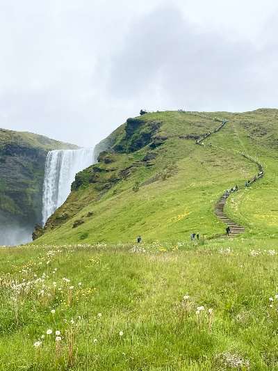The stairs in the green grass by Skógafoss Waterfall in Iceland