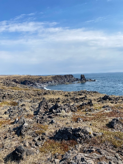 A view over the ocean on the way through an old lava field between Djúpalónssandur black beack and Dritvík bay in Iceland