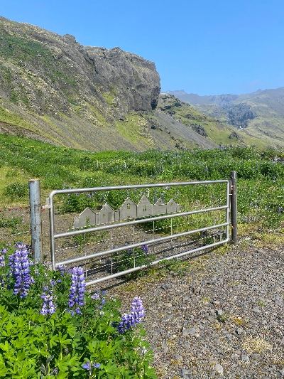 A gate with mountains in the background and lupins in the foreground