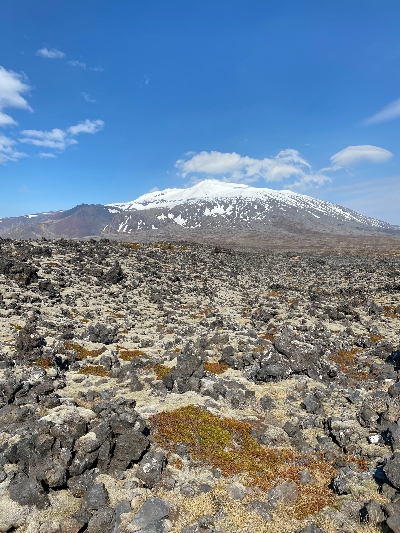 Snæfellsjökull Glacier in Iceland with a moss covered lava field in the foreground