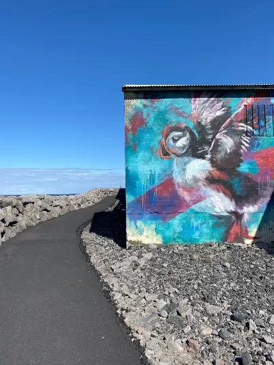 A mural of a puffin in Hellissandur Snæfellsnes Peninsula