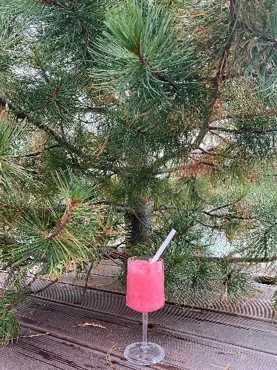 Pink drink on a table by a Christmas tree in Forest Lagoon