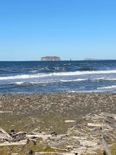 The beach by Grettislaug with driftwood in the foreground and Drangey island in the far