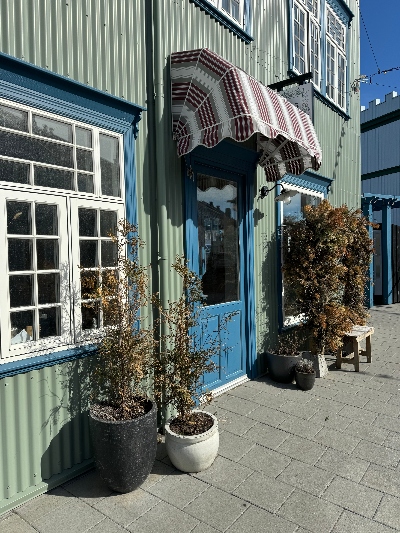 Charming green old house in Selfoss old town with plants by the blue door