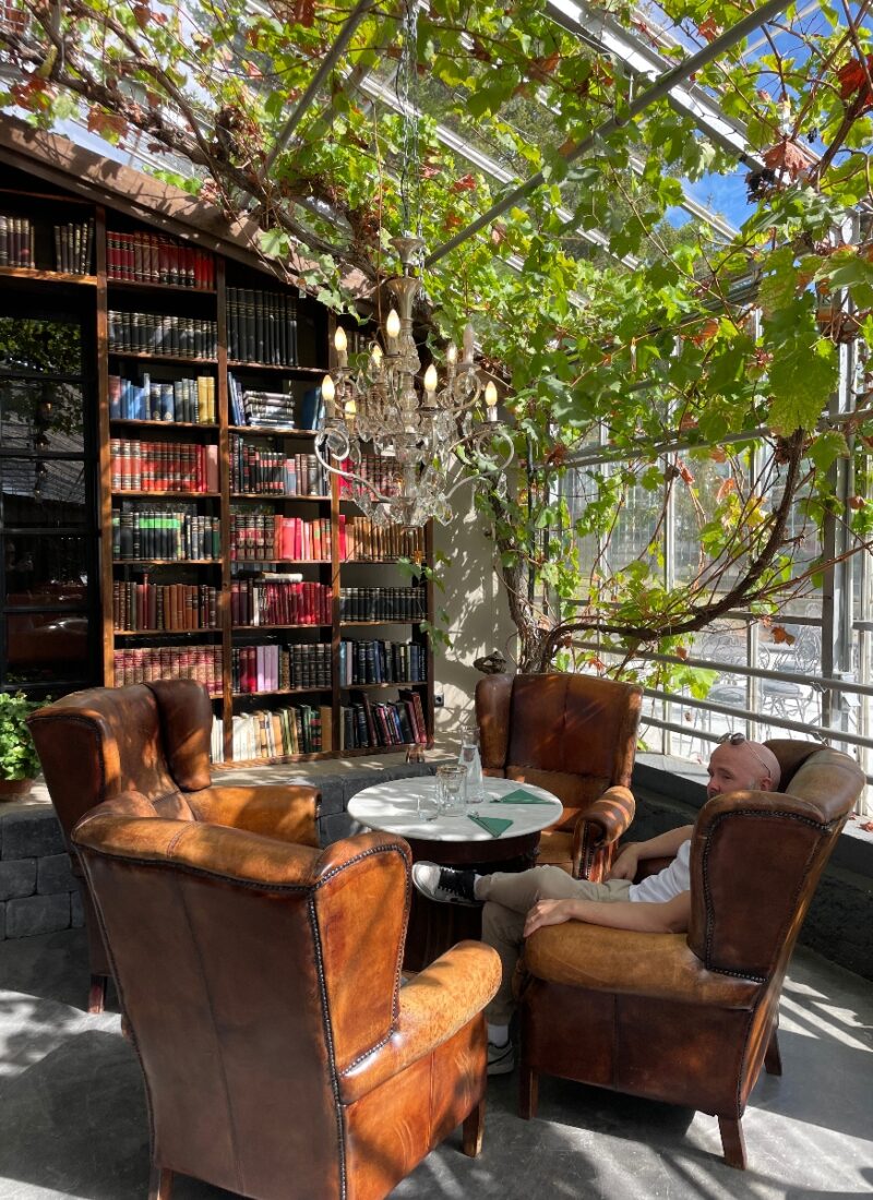 Leather chairs around a small table at Vínstofa Freiðheima which is in an old greenhouse where vines crawl up the walls and ceiling.