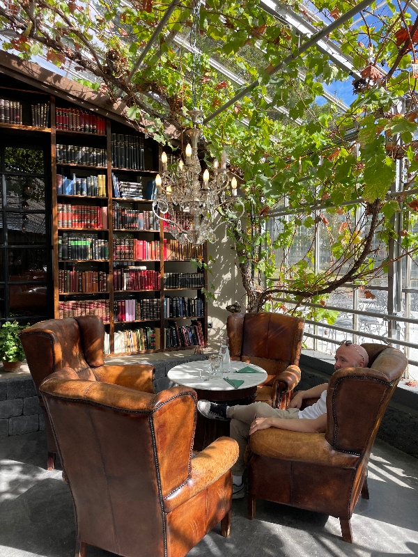 Leather chairs around a small table at Vínstofa Freiðheima which is in an old greenhouse where vines crawl up the walls and ceiling.